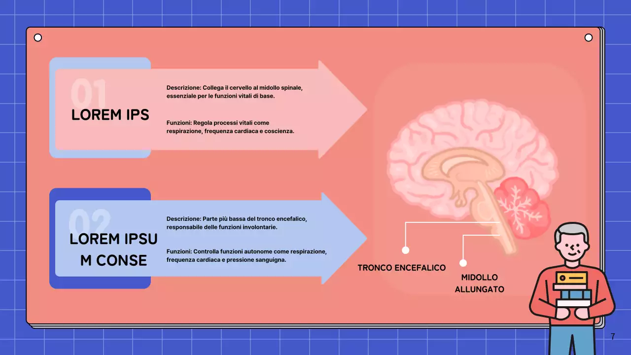 Materiale di studio per le lezioni di anatomia cerebrale semplice rosa e blu cielo