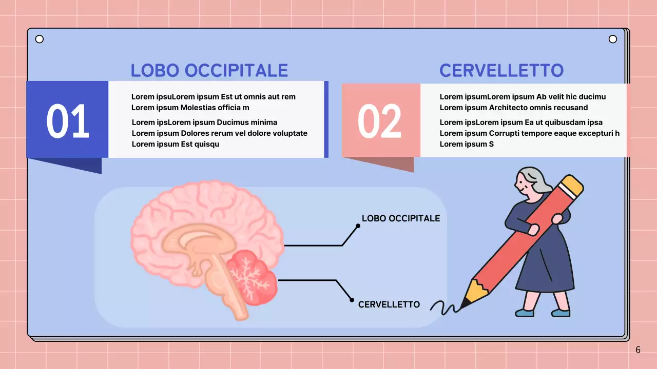 Materiale di studio per le lezioni di anatomia cerebrale semplice rosa e blu cielo