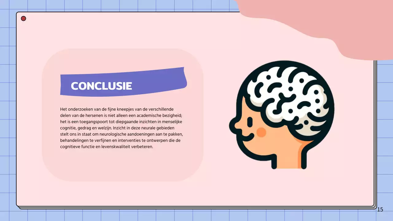 Roze en hemelsblauw eenvoudig studiemateriaal voor de anatomie van de hersenen