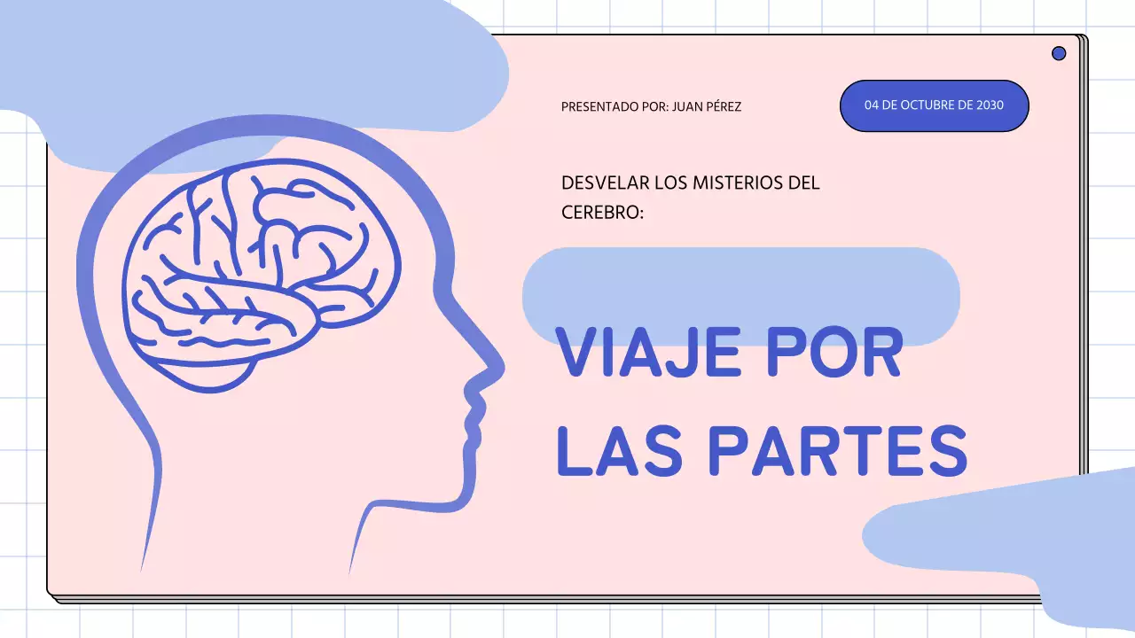 Rosa y azul cielo Anatomía simple del cerebro Materiales de estudio de clase