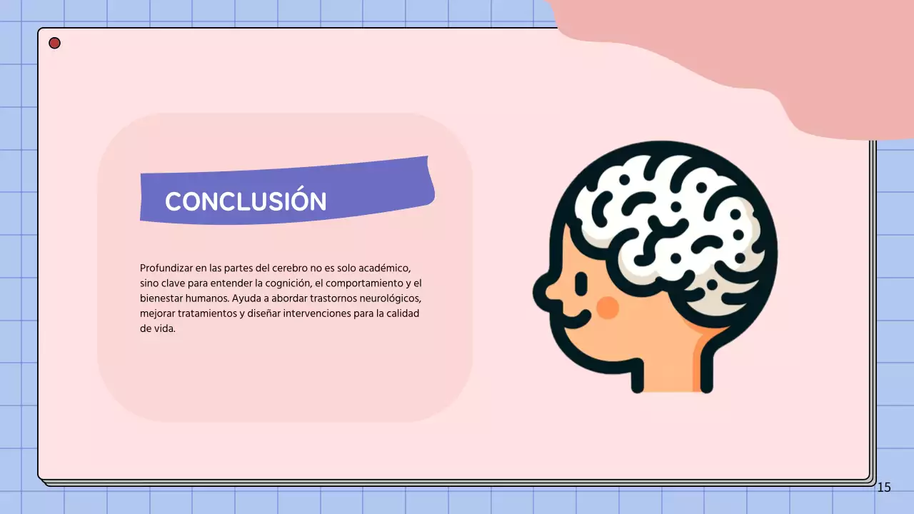 Rosa y azul cielo Anatomía simple del cerebro Materiales de estudio de clase