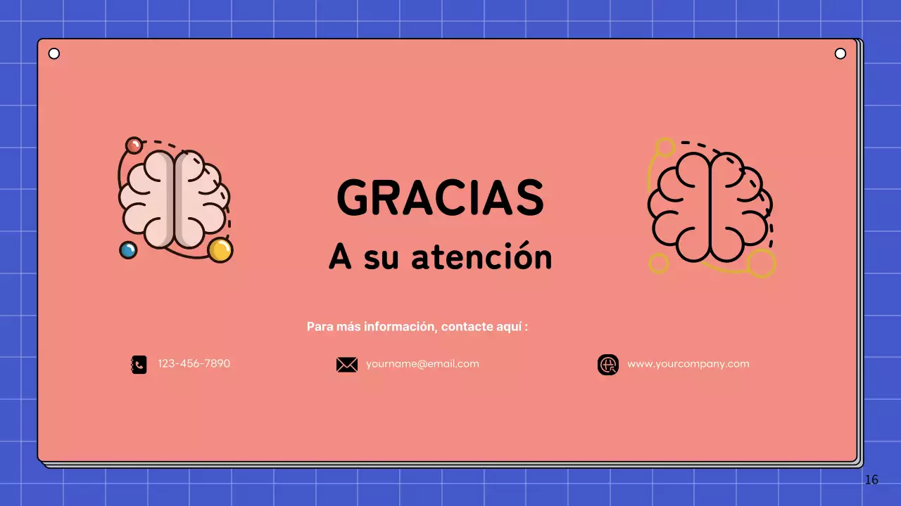 Rosa y azul cielo Anatomía simple del cerebro Materiales de estudio de clase