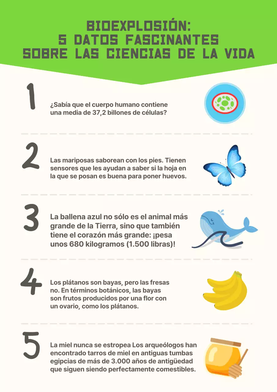 Póster moderno amarillo Material de estudio