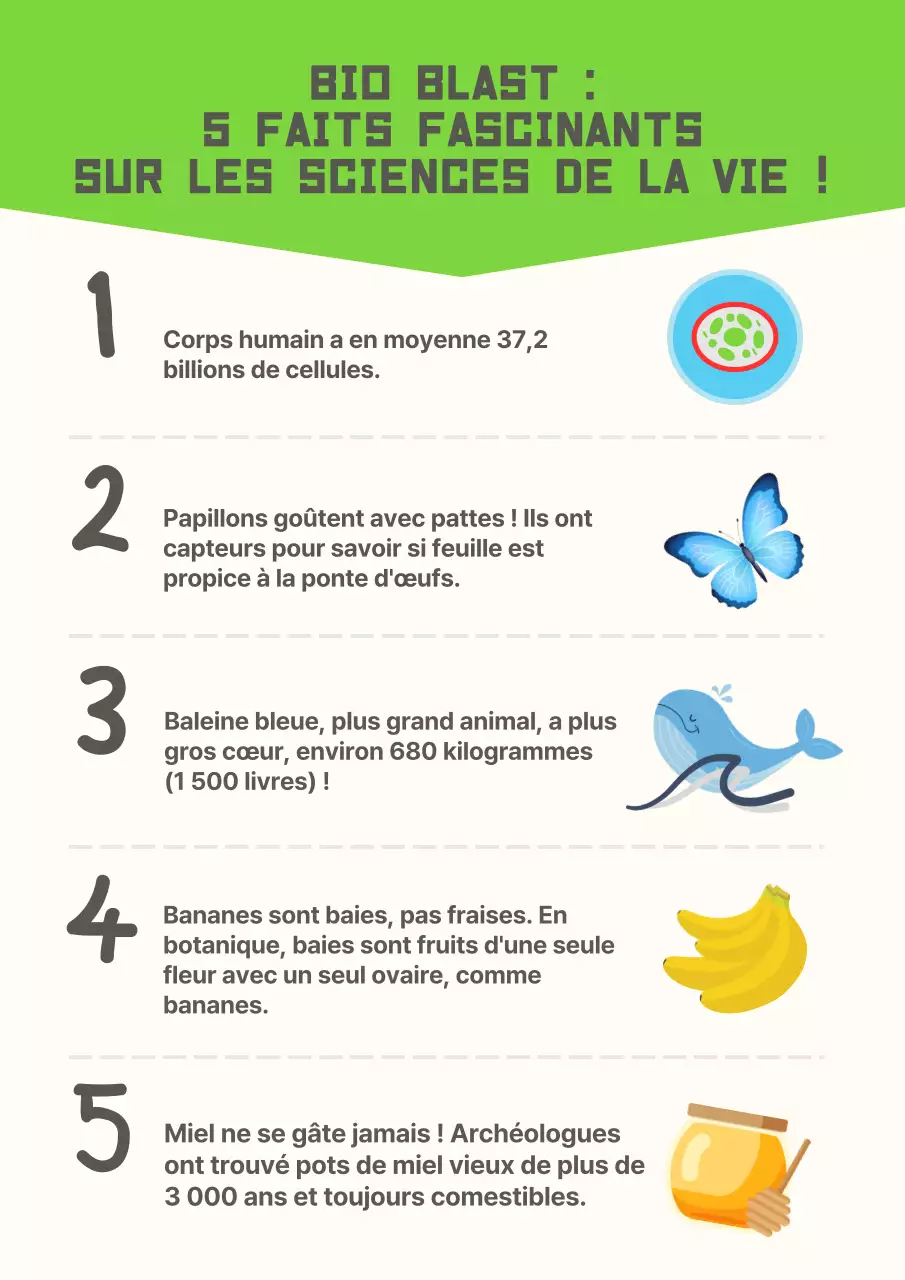 Affiche moderne jaune Matériel d'étude