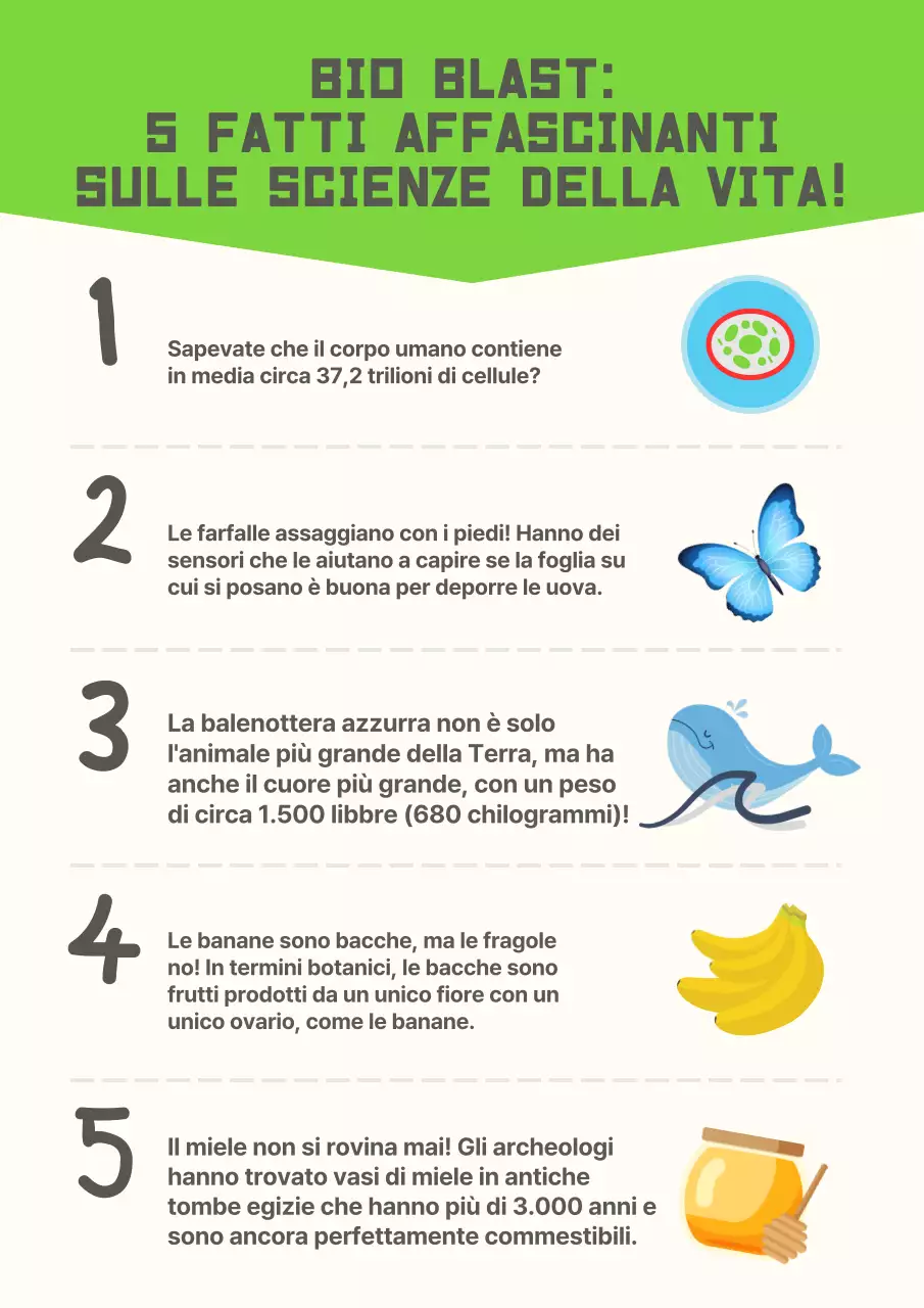 Materiale di studio del poster moderno giallo