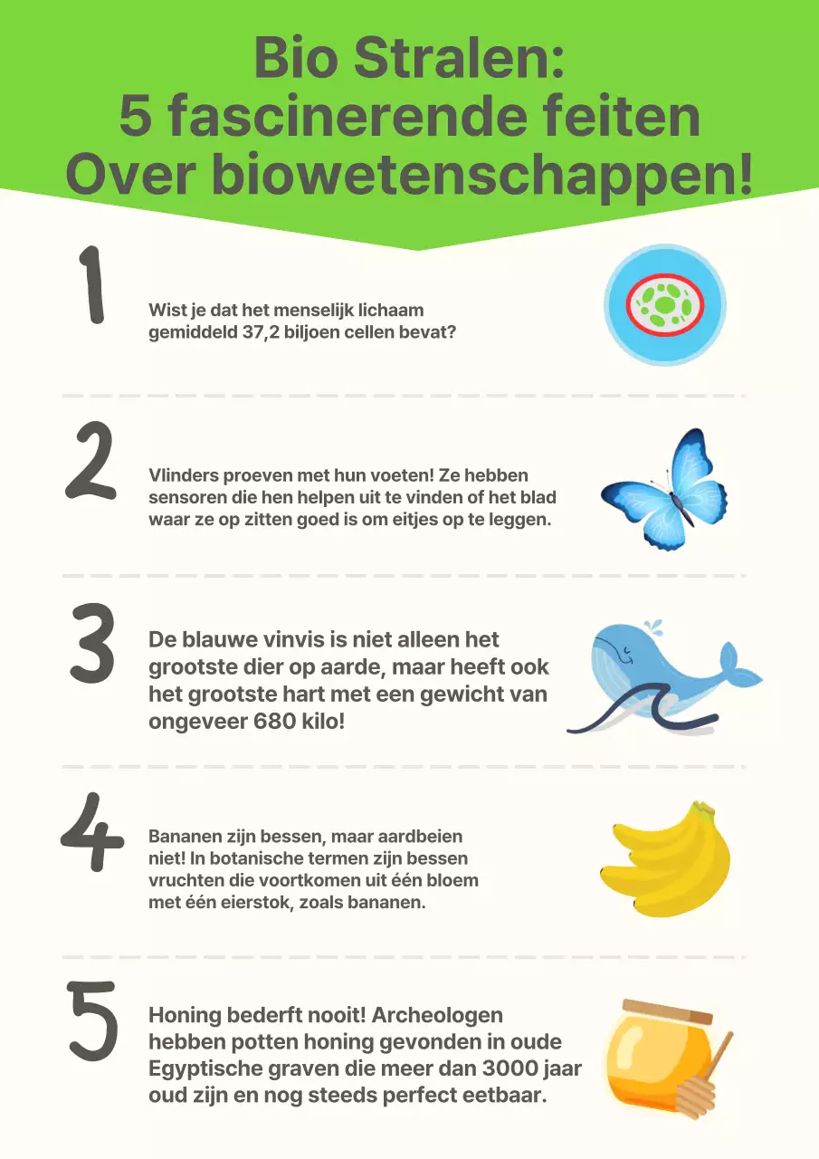 Gele moderne poster studiemateriaal