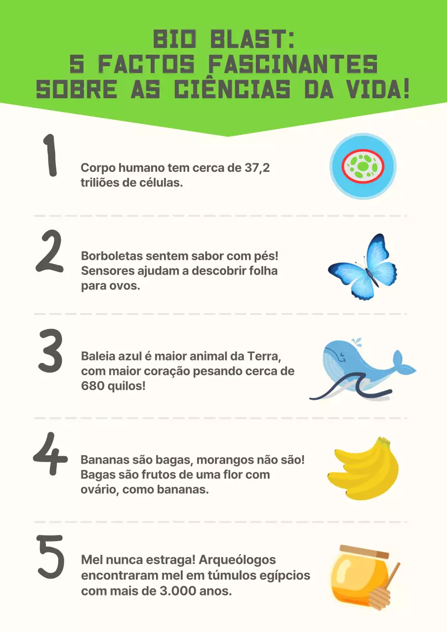 Materiais de estudo do cartaz moderno amarelo