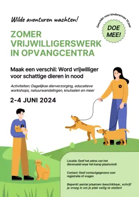 Green Simple Shelter Vrijwilligersuitnodiging