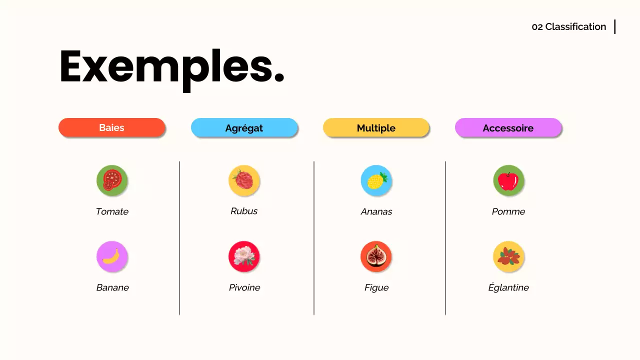 Orange blanche Matériel de conférence moderne sur les fruits