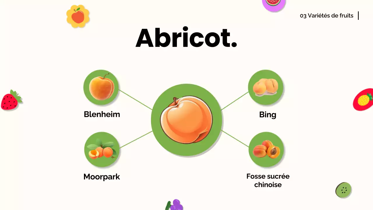 Orange blanche Matériel de conférence moderne sur les fruits