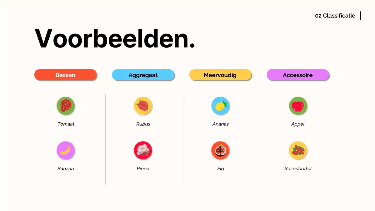 Wit Oranje Modern Fruit Lezingmateriaal