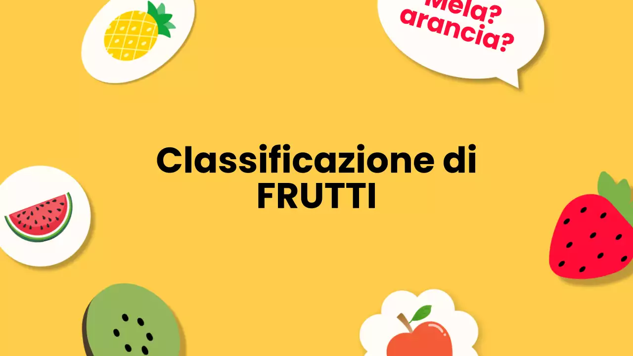 Arancia bianca Materiale moderno per conferenze sulla frutta