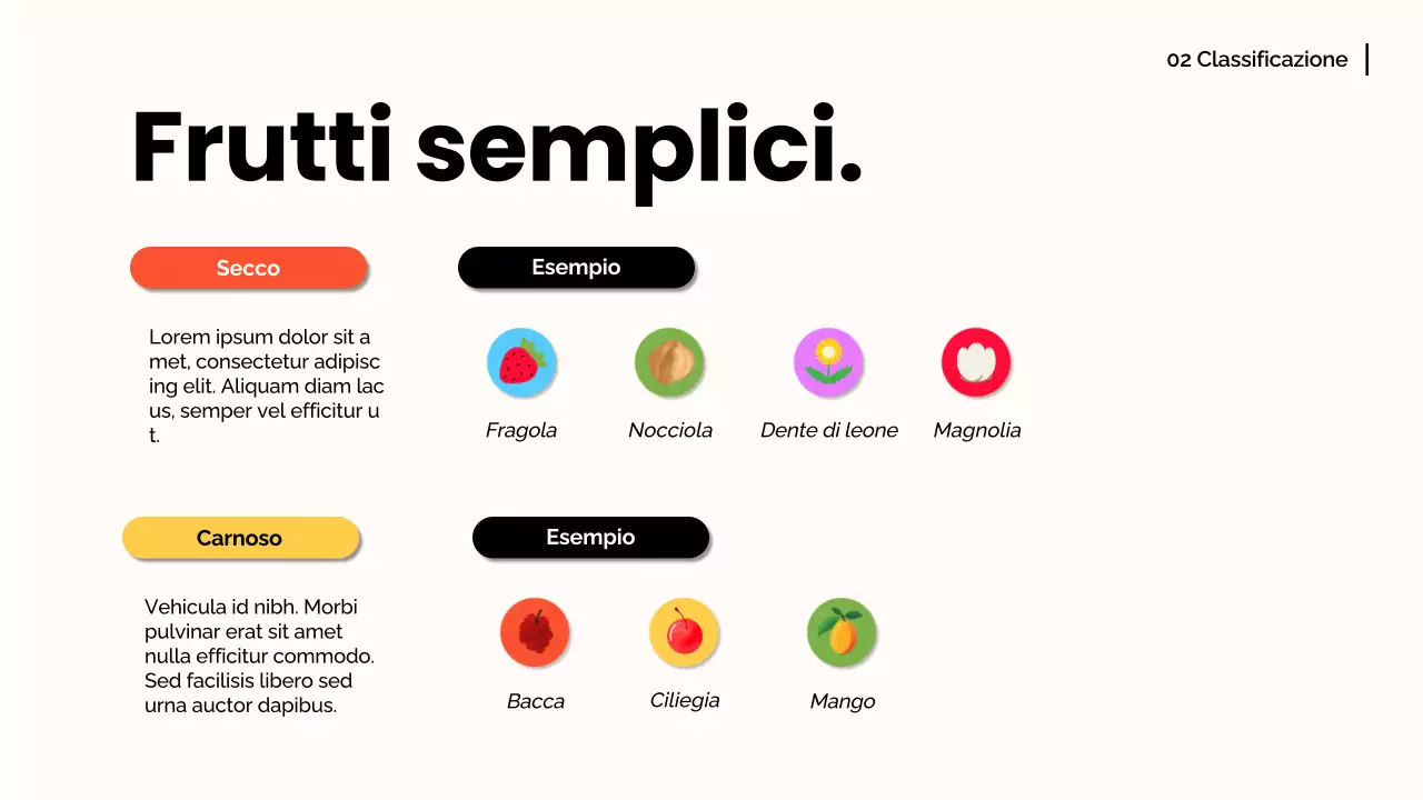 Arancia bianca Materiale moderno per conferenze sulla frutta