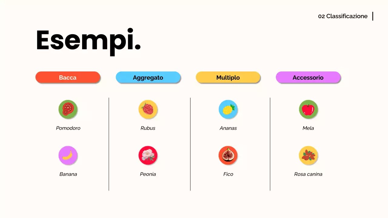 Arancia bianca Materiale moderno per conferenze sulla frutta