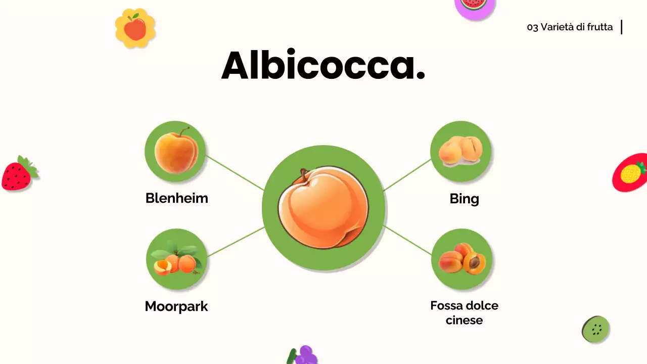 Arancia bianca Materiale moderno per conferenze sulla frutta