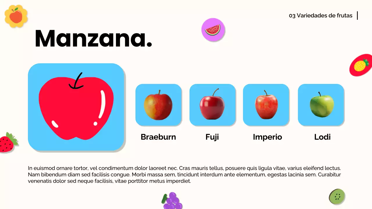 Naranja blanca Material moderno para conferencias sobre frutas