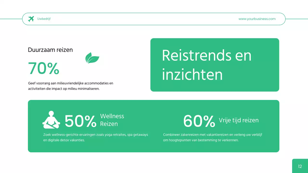 Groen Eenvoudig Reisbureau User Persona Bedrijfsstrategie