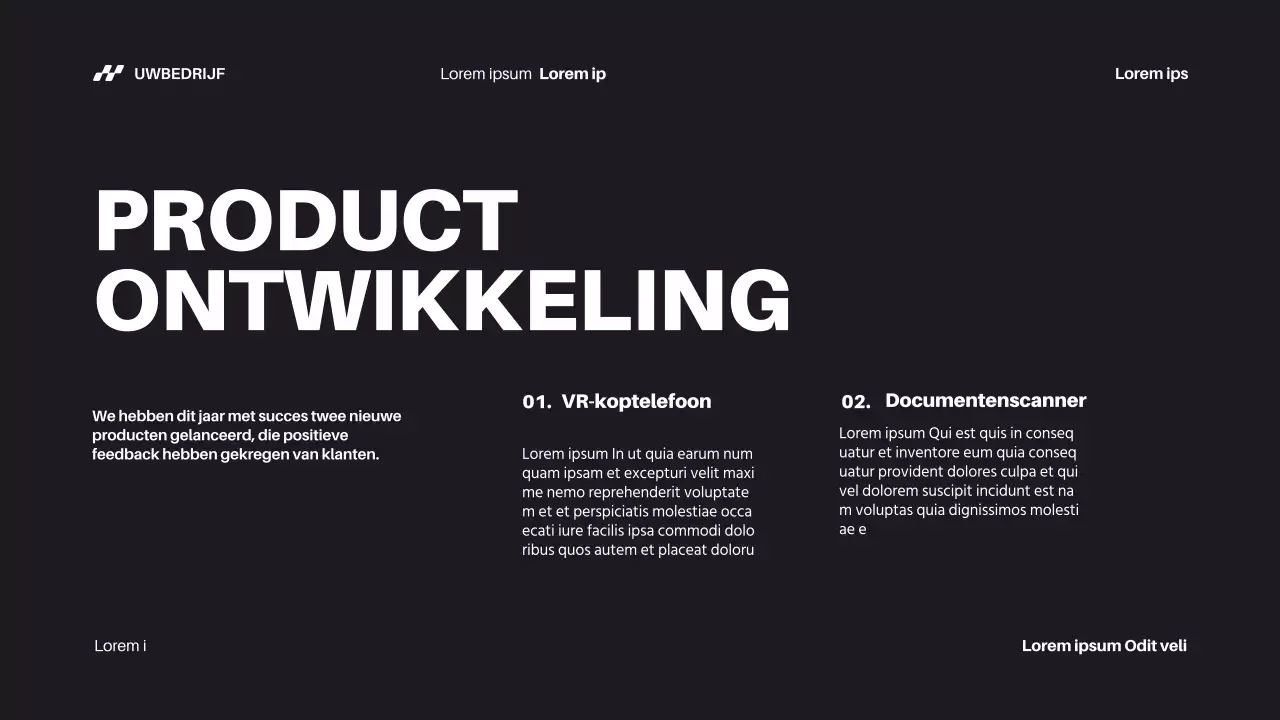 Voortgangsrapport Black Bold Business