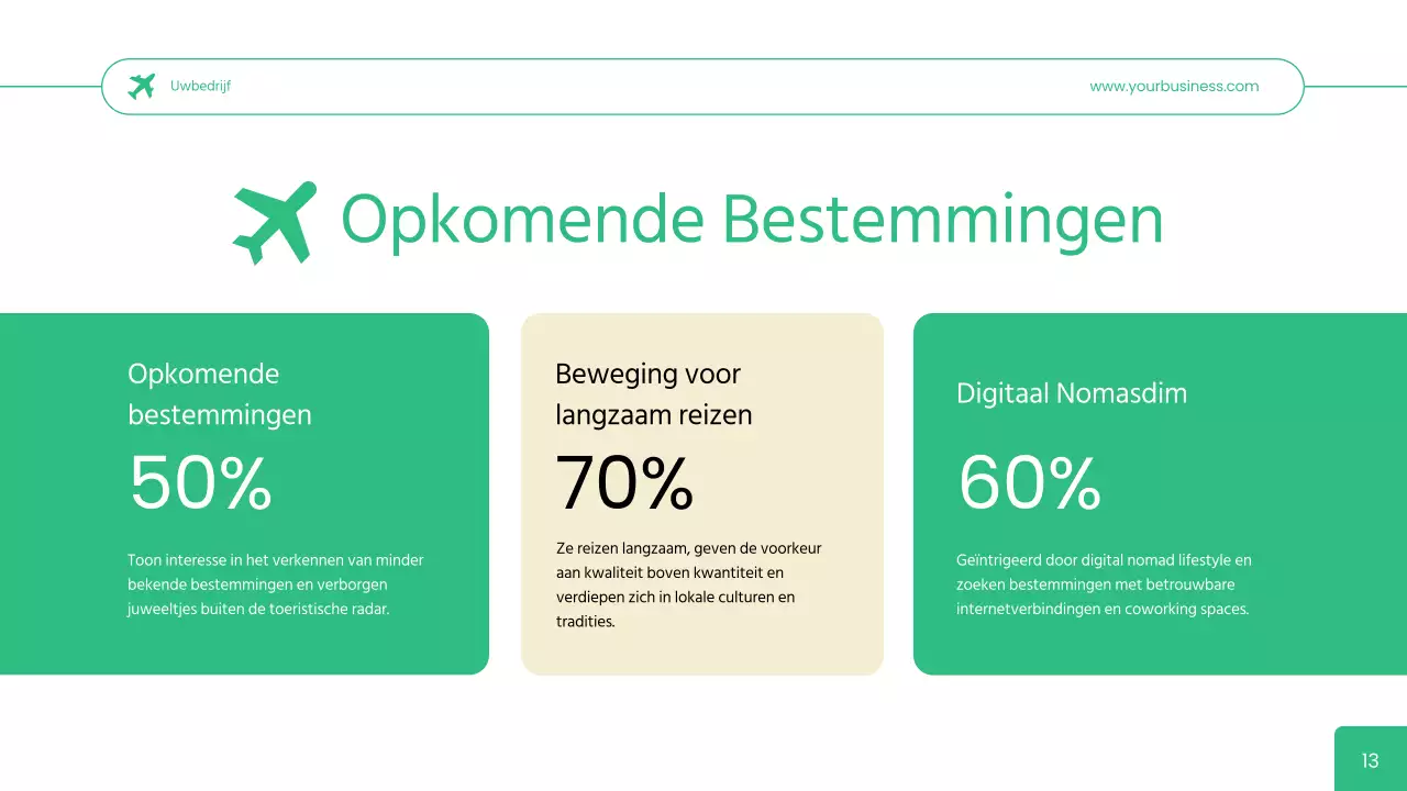 Groen Eenvoudig Reisbureau User Persona Bedrijfsstrategie