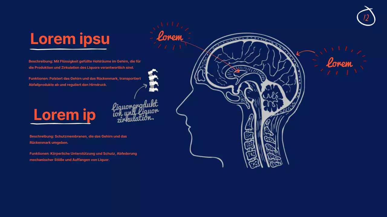 Navy Anatomie des Gehirns Lehrmaterial