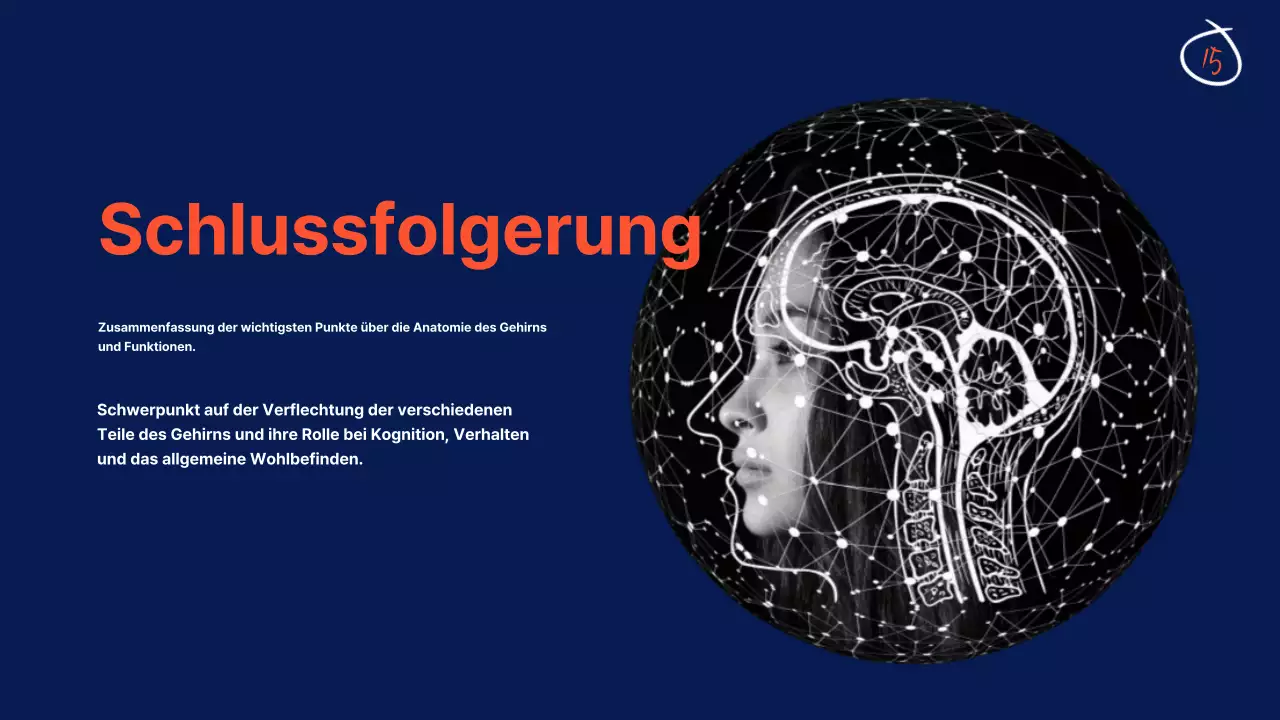 Navy Anatomie des Gehirns Lehrmaterial