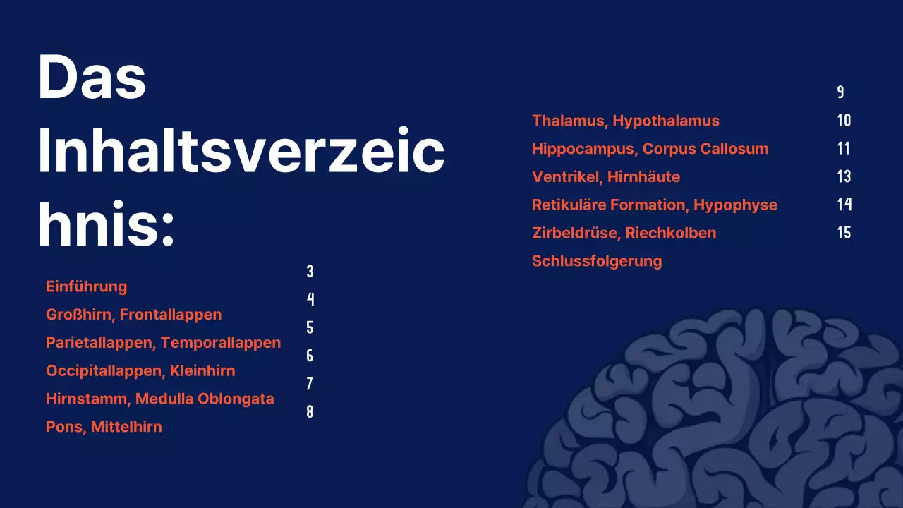 Navy Anatomie des Gehirns Lehrmaterial