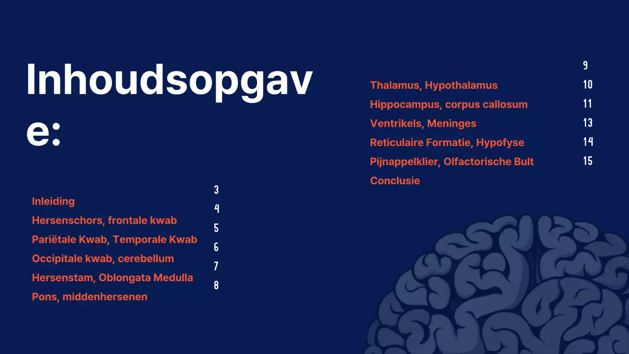 Marine Anatomie van de hersenen Lesmateriaal