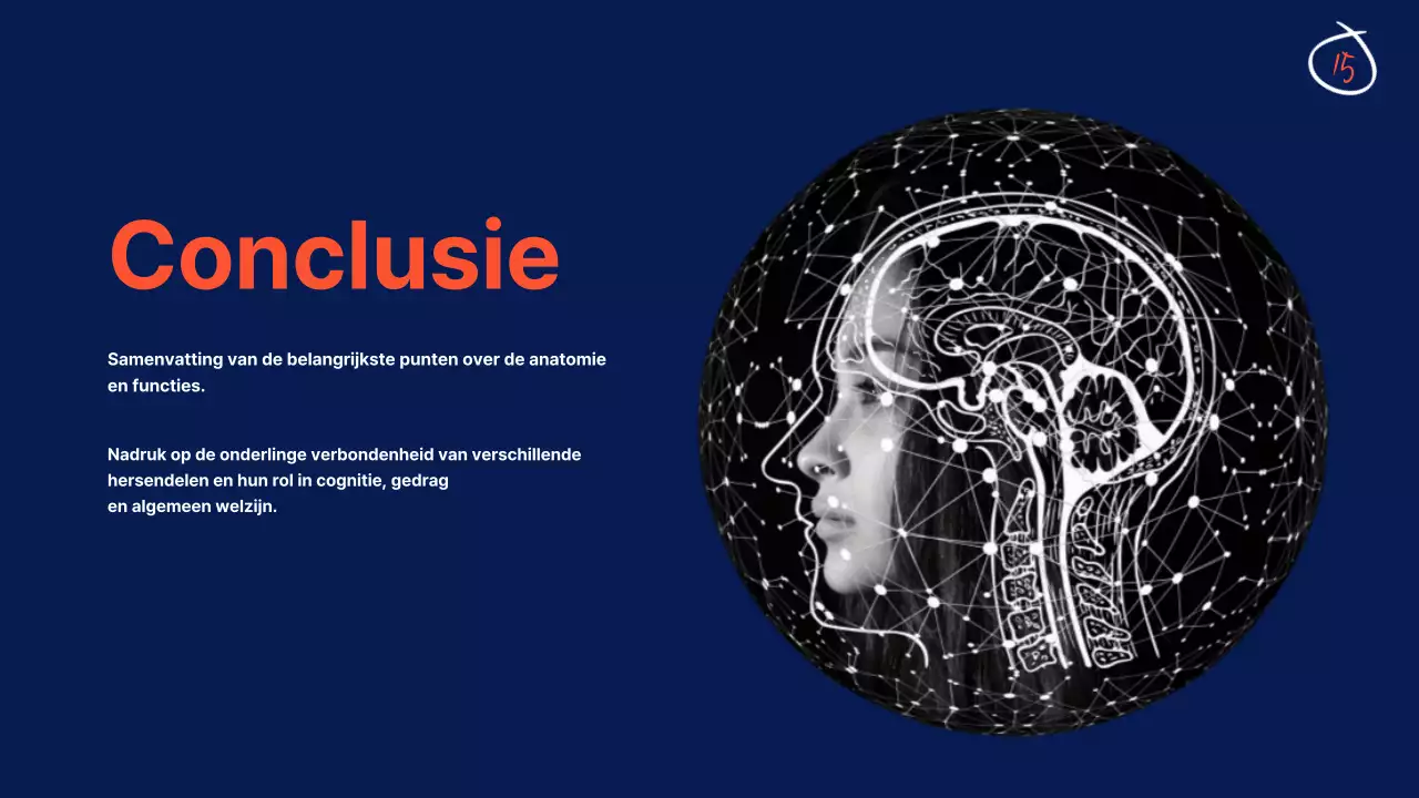 Marine Anatomie van de hersenen Lesmateriaal