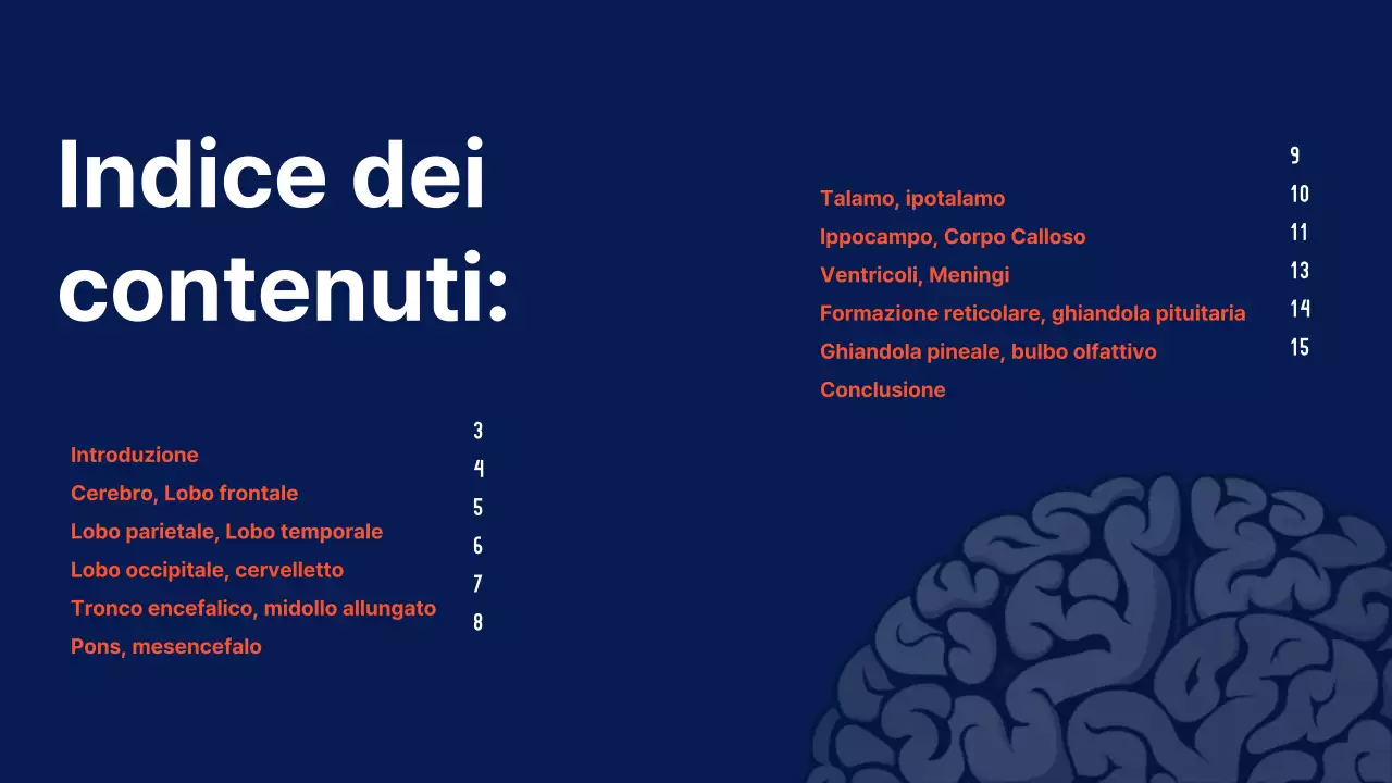 Navy Anatomia del cervello Materiale didattico