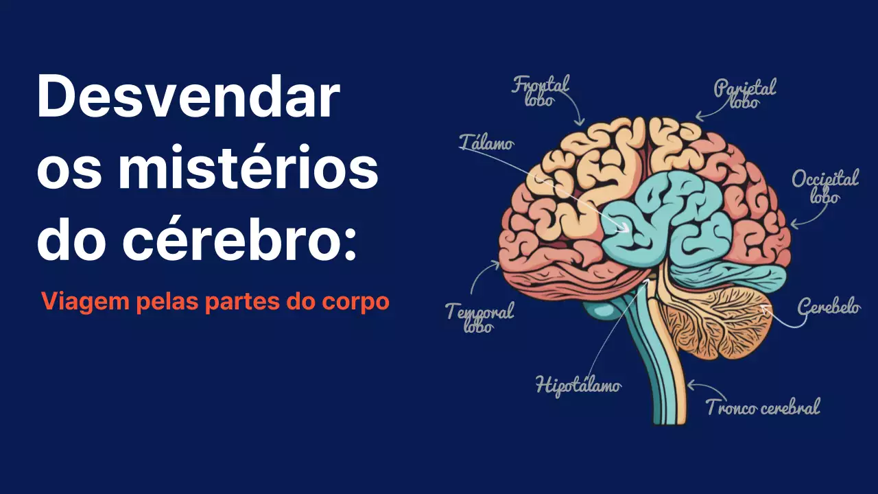Marinha Anatomia do cérebro Material didático