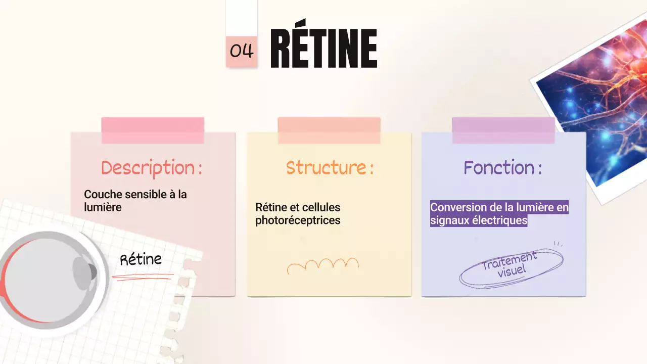 Jaune Rose Tendance Parties audacieuses des yeux Matériel de classe