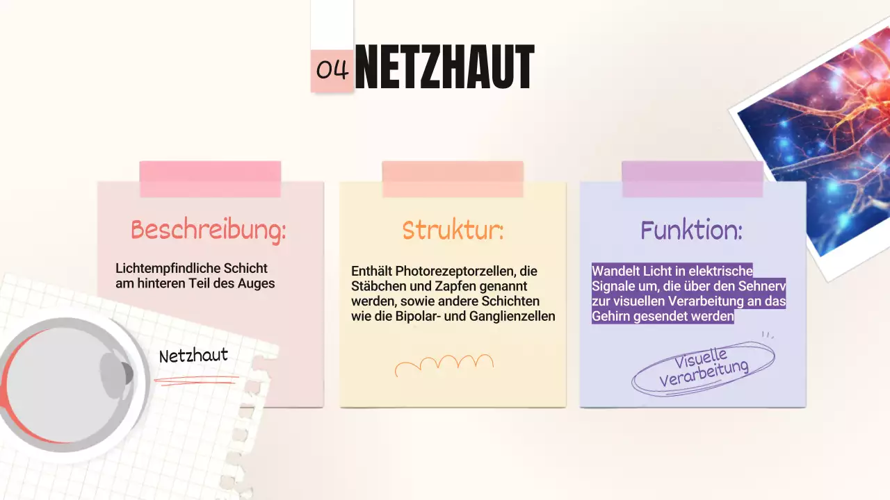 Gelb-Rosa Trend Kühne Augenpartien Klassenmaterial