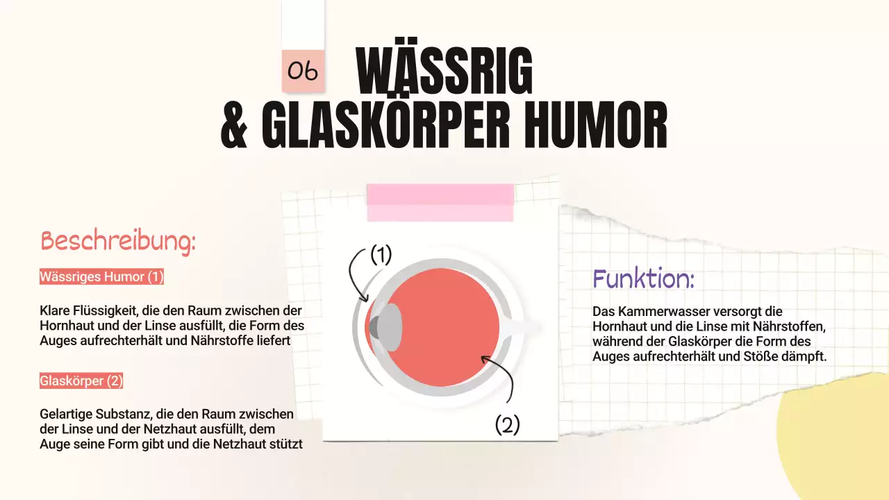Gelb-Rosa Trend Kühne Augenpartien Klassenmaterial