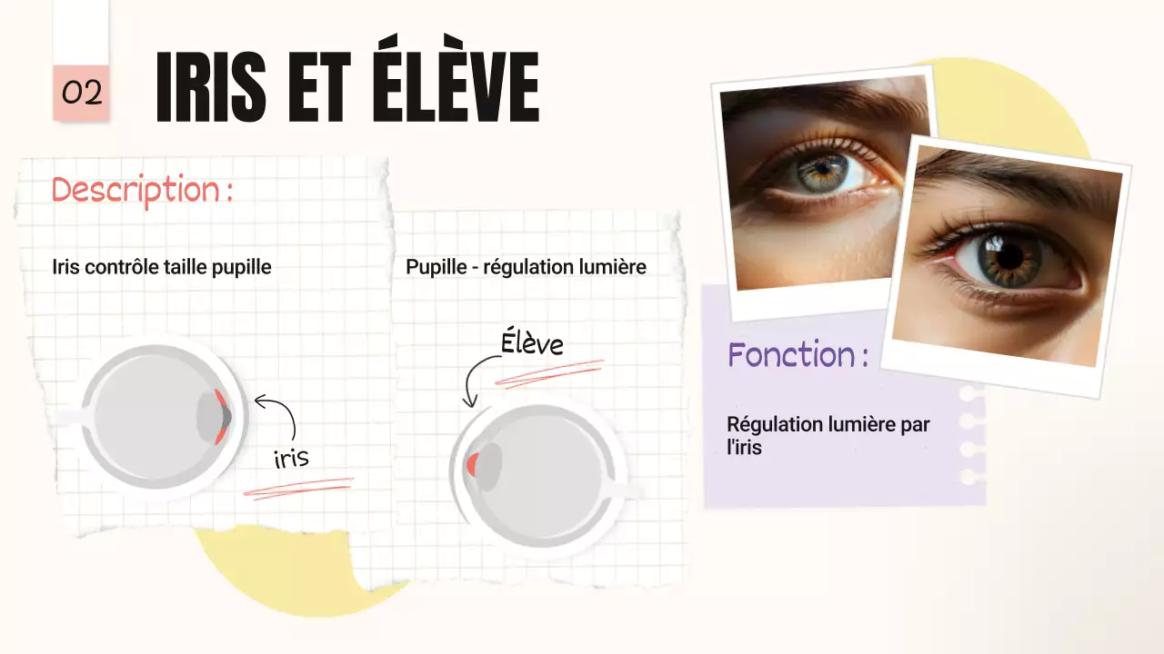 Jaune Rose Tendance Parties audacieuses des yeux Matériel de classe