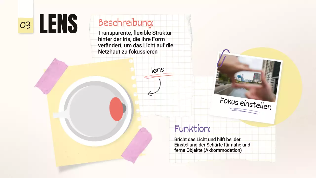 Gelb-Rosa Trend Kühne Augenpartien Klassenmaterial