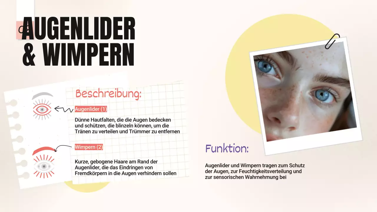 Gelb-Rosa Trend Kühne Augenpartien Klassenmaterial