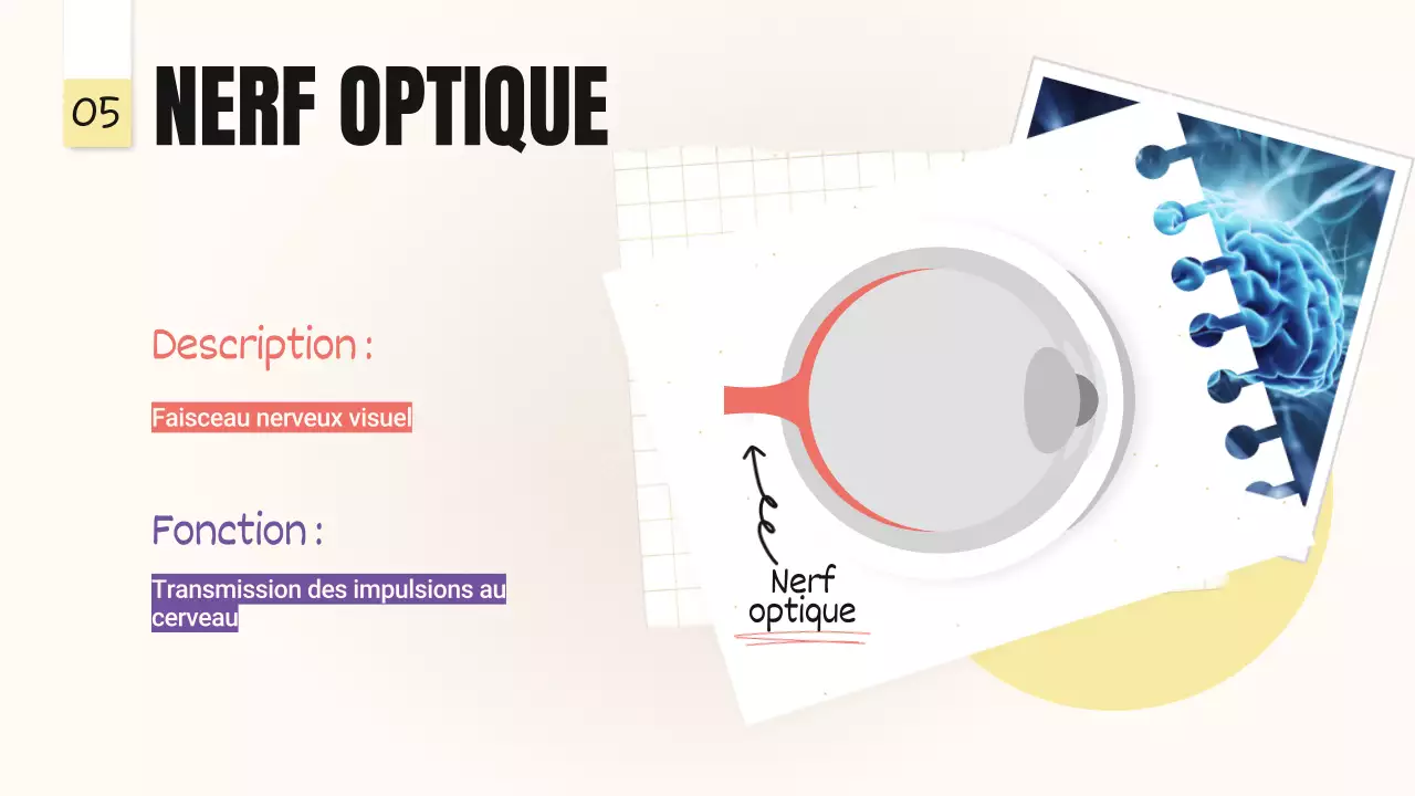 Jaune Rose Tendance Parties audacieuses des yeux Matériel de classe