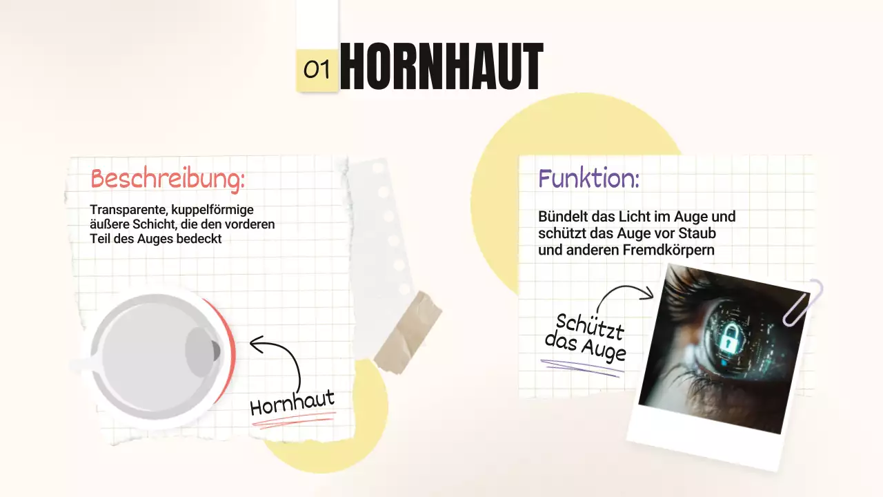 Gelb-Rosa Trend Kühne Augenpartien Klassenmaterial