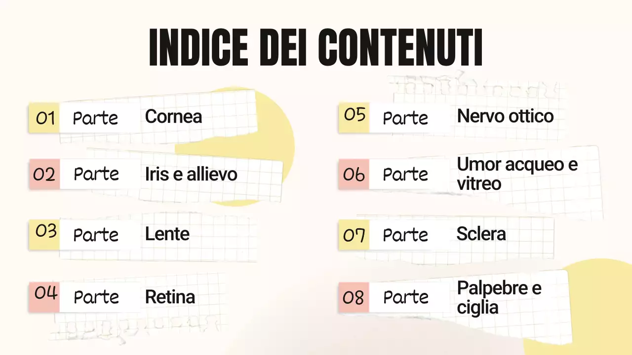 Tendenza giallo-rosa Parti in grassetto degli occhi Materiale della classe