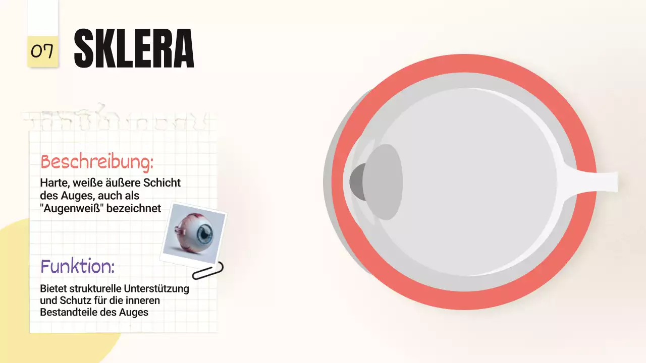 Gelb-Rosa Trend Kühne Augenpartien Klassenmaterial