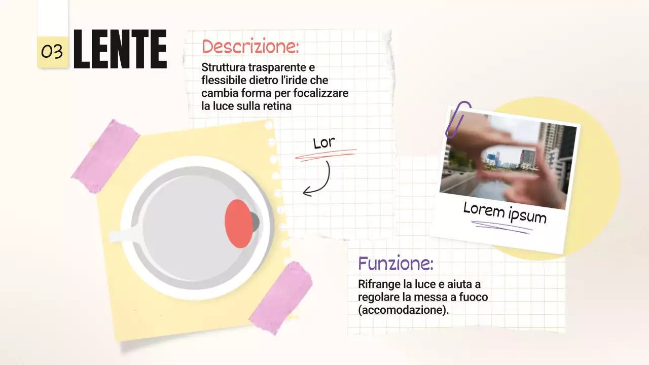 Tendenza giallo-rosa Parti in grassetto degli occhi Materiale della classe