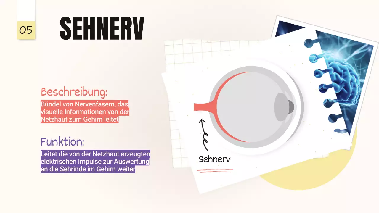 Gelb-Rosa Trend Kühne Augenpartien Klassenmaterial