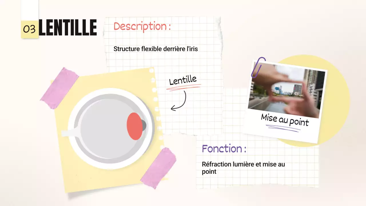 Jaune Rose Tendance Parties audacieuses des yeux Matériel de classe