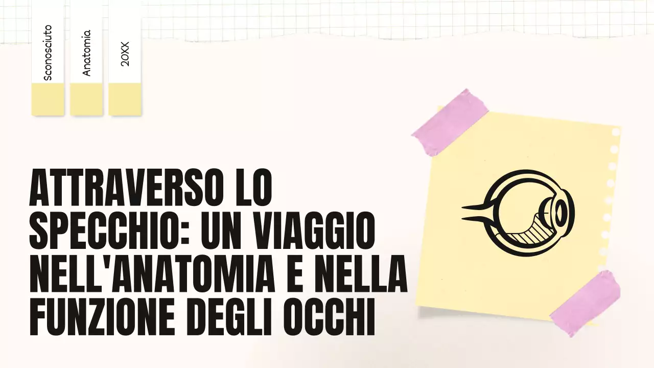 Tendenza giallo-rosa Parti in grassetto degli occhi Materiale della classe