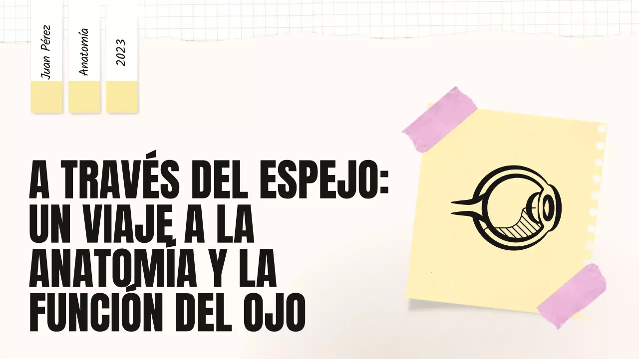 Amarillo Rosa Tendencia Negrita Partes de los ojos Material de clase
