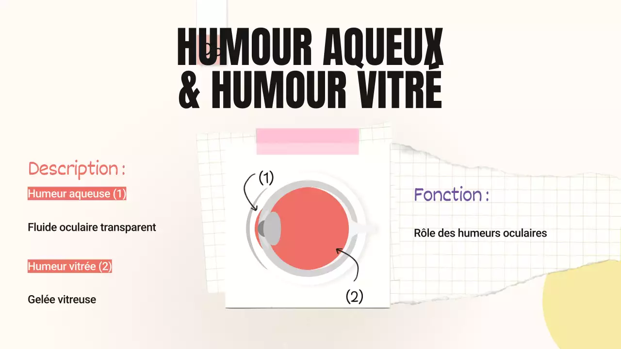 Jaune Rose Tendance Parties audacieuses des yeux Matériel de classe