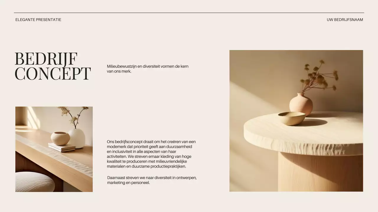 Beige Minimal Business Bedrijfsintroductie