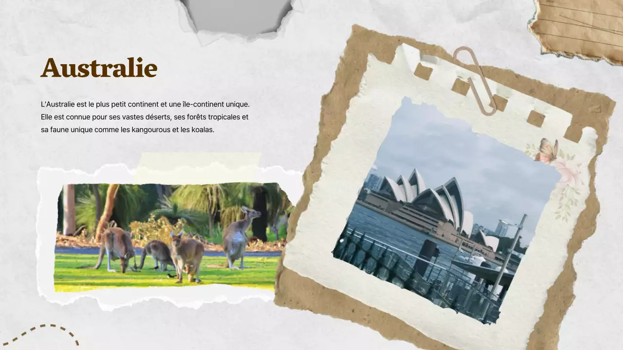 Brown Ivory Classic World Geography Class Material