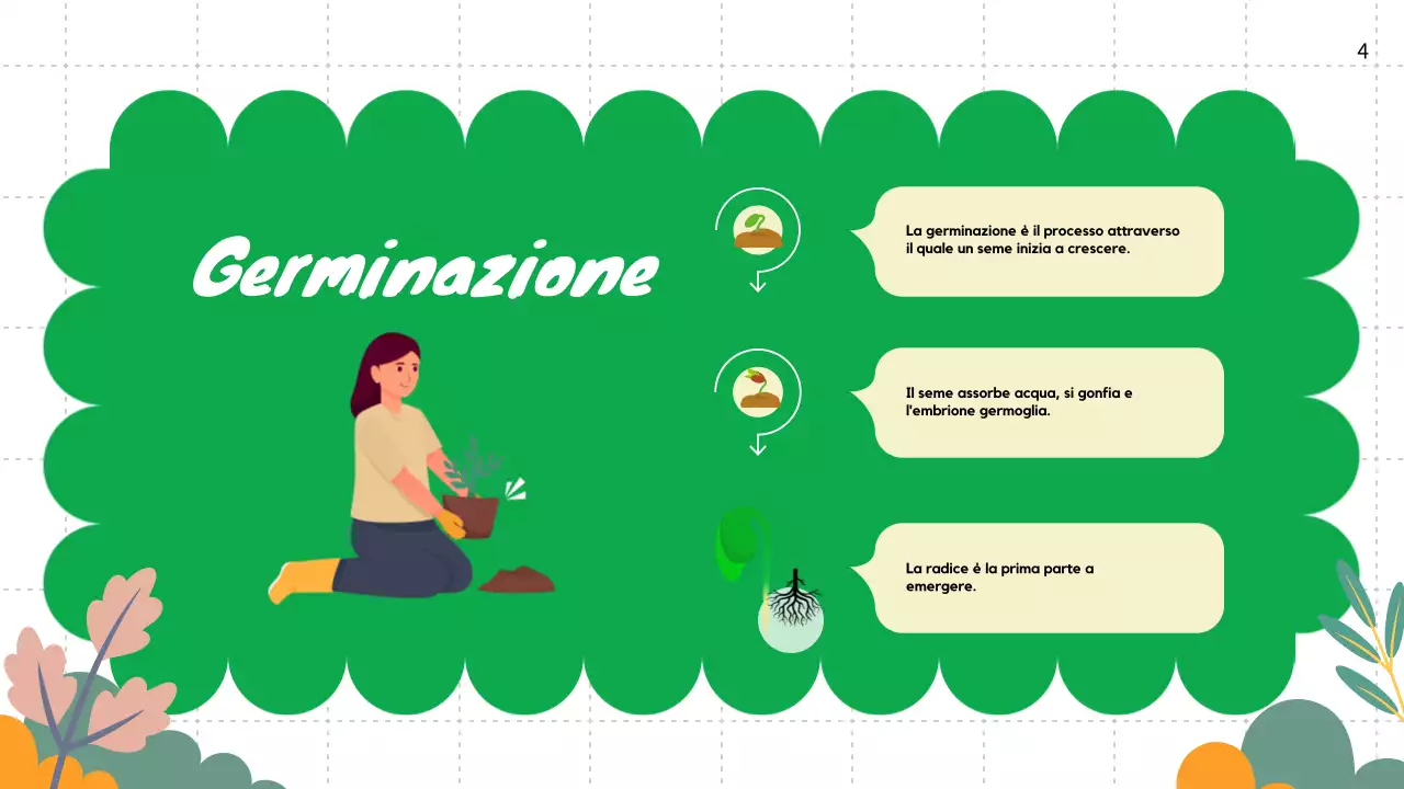 Pianura verde Cicli vitali delle piante Materiale di classe