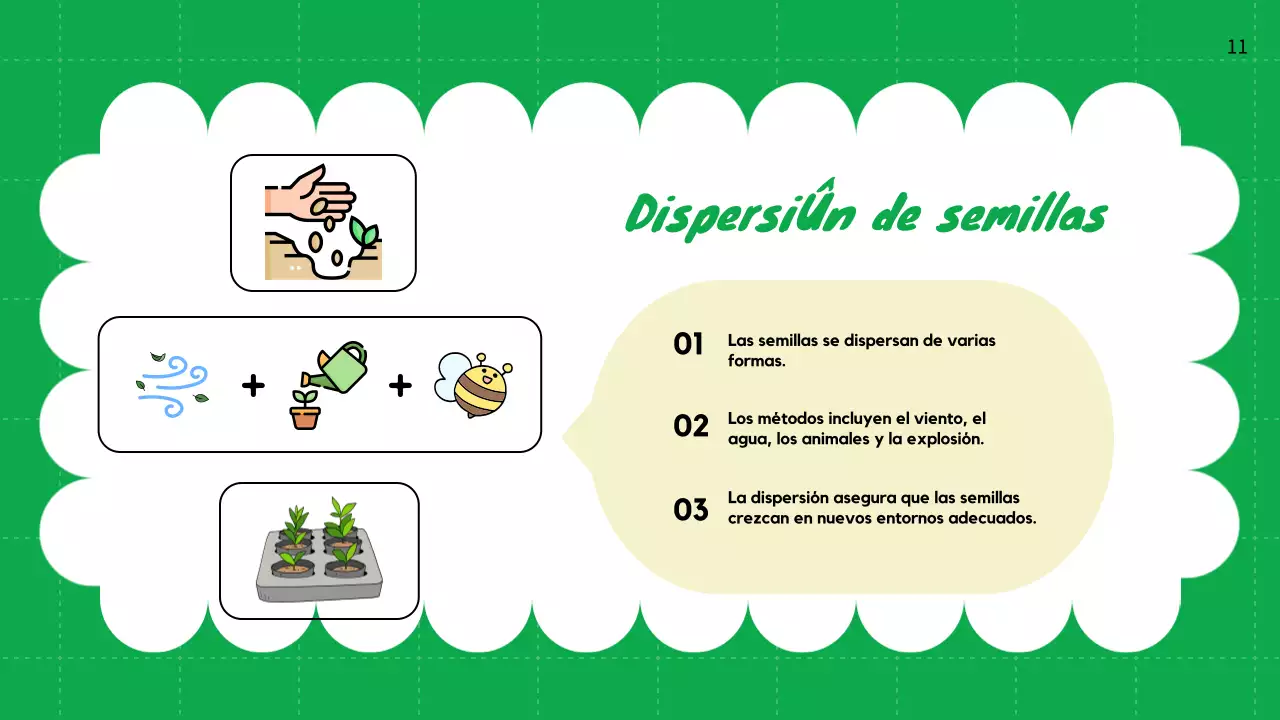 Llanura Verde Ciclos de vida de las plantas Material de clase